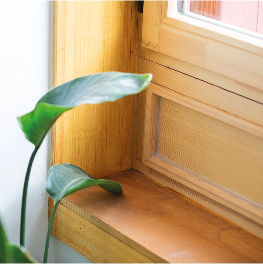 Photo montrant un détail de la menuiserie du salon avec une plante verte en premier plan après la réalisation de la réhabilitation énergétique en milieu habité de l'immeuble Impasse Delépine.