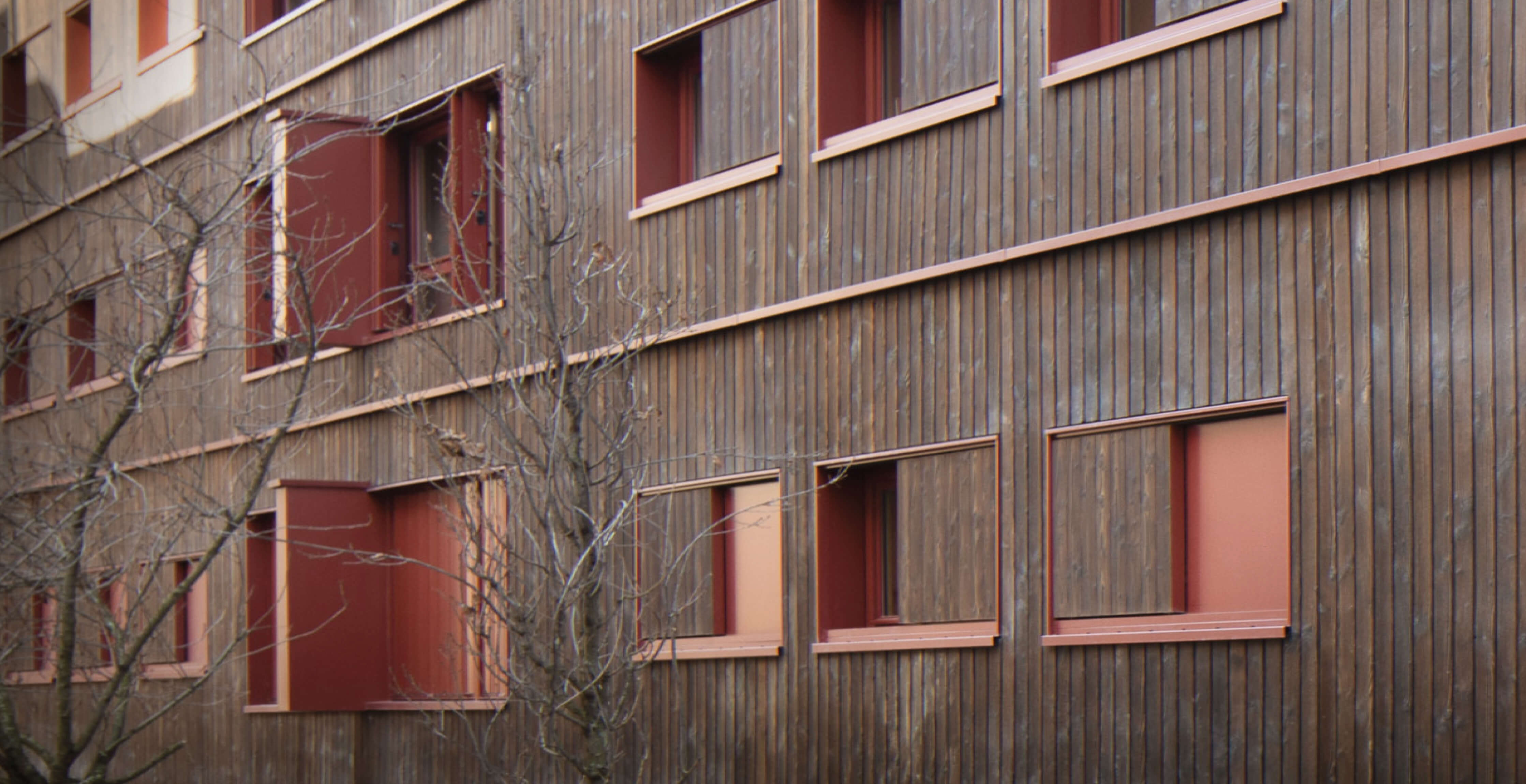 Photo de la façade sud en bois après réhabilitation énergétique en milieu habité de l'immeuble impasse Delépine.