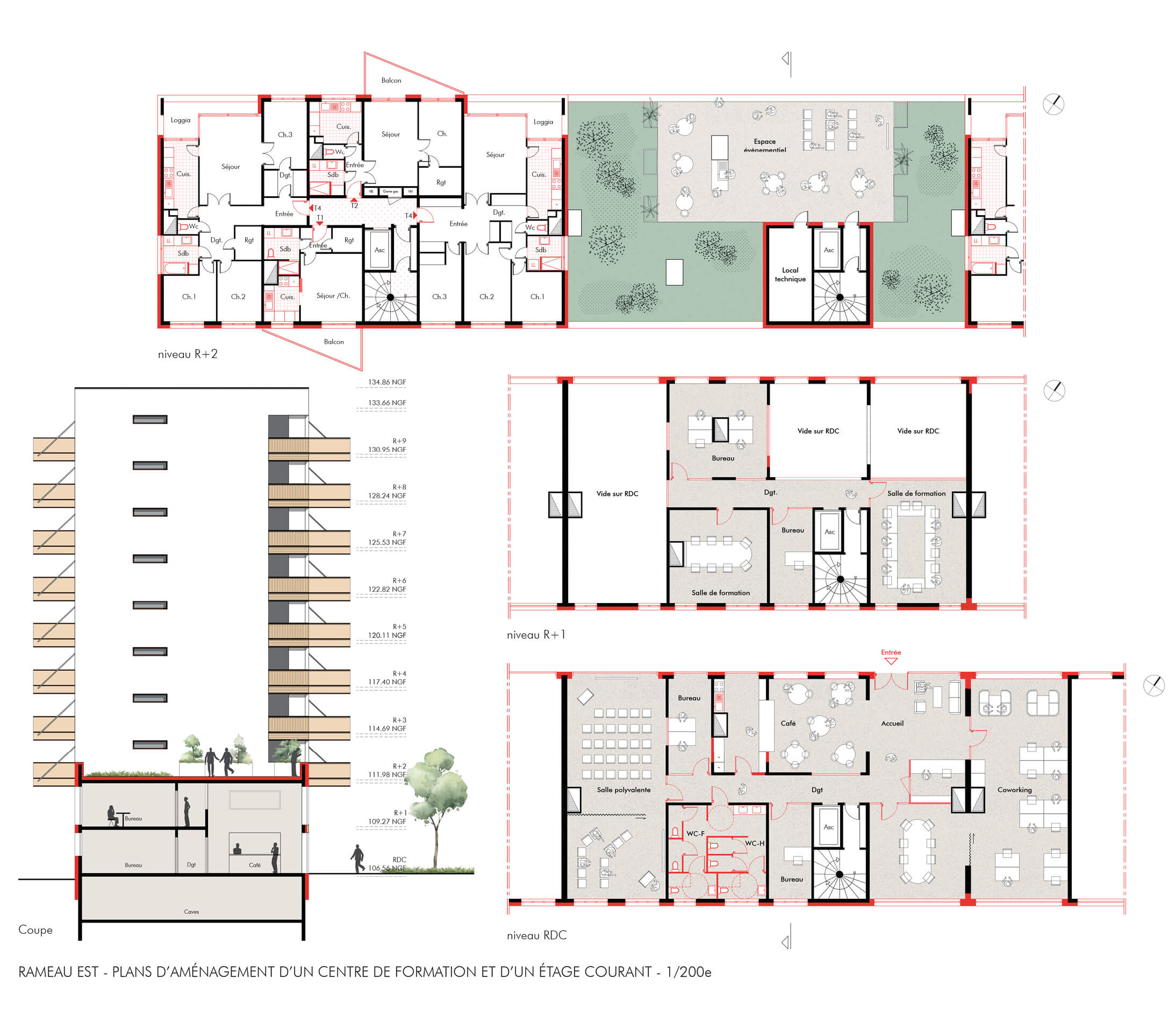 Plans détaillant l'aménagement d'un centre de formationet d'un étage courant dans le cadre du projet de réhabilitation avec démolition partielle du quartier de Bois l'Abbé.