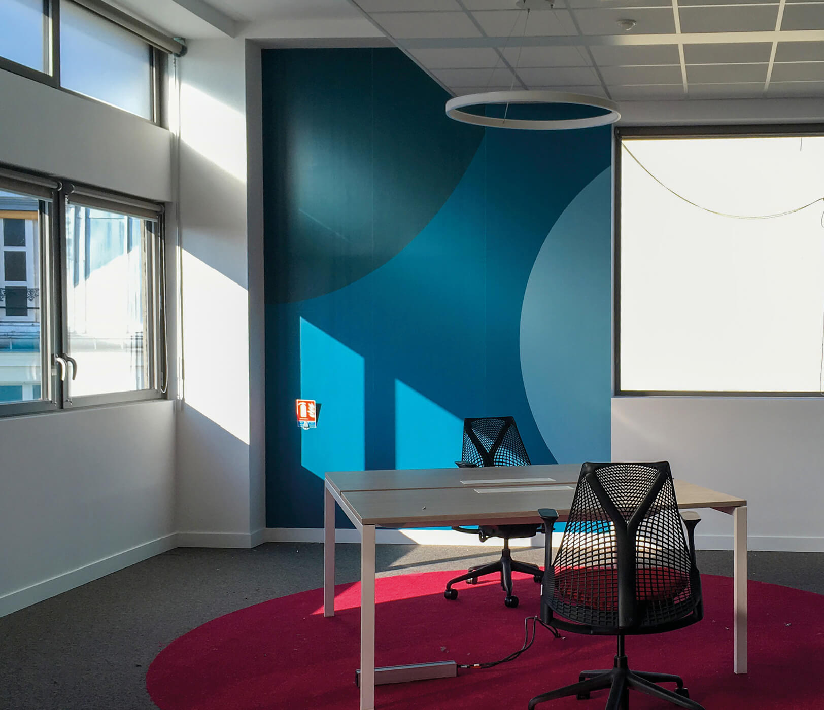Photo d’une salle de réunion ensoleillée après le réaménagement du siège social de la société Iqera avec table de travail, tapis rose et fresque murale dans les tons bleus