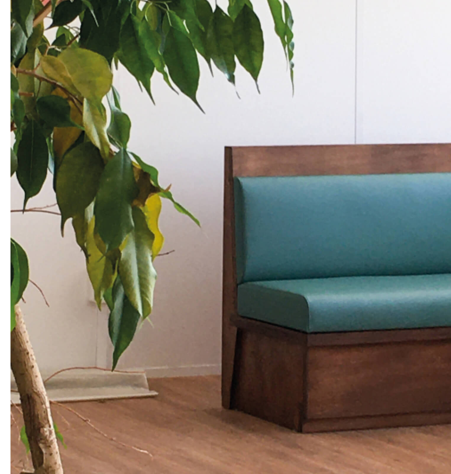 Photo d’une plante et d’un canapé bleu à structure en bois après réaménagement du siège social de la société Iqera