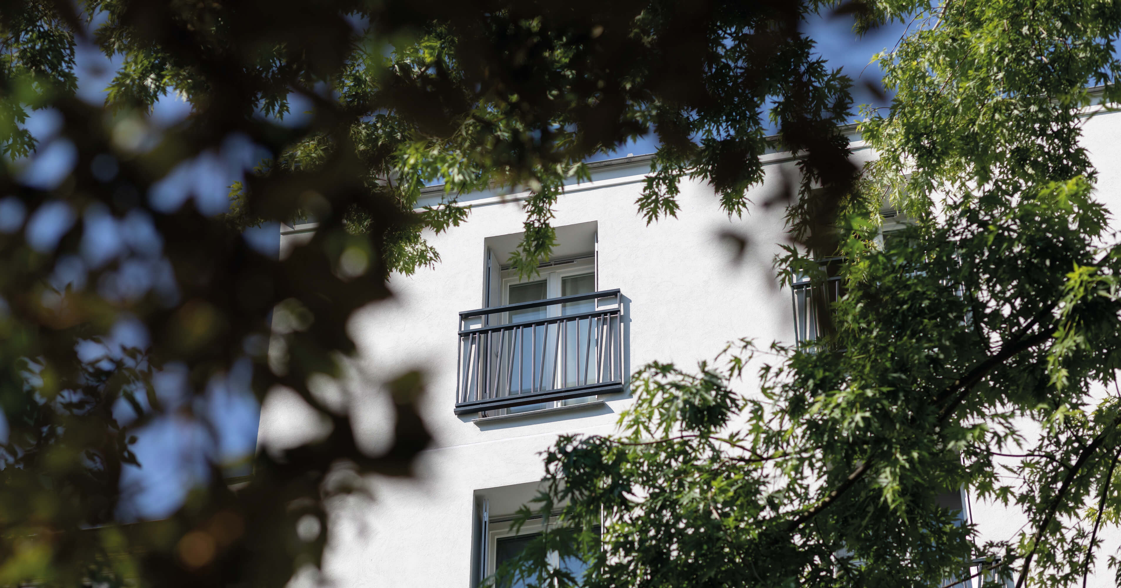 Photo d’une fenêtre de l’immeuble du projet réhabilitation plan climat en milieu habité rue Jeanne d’Arc encadrée des feuilles d’un arbre du jardin